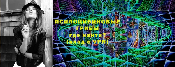 прущая мука Няндома