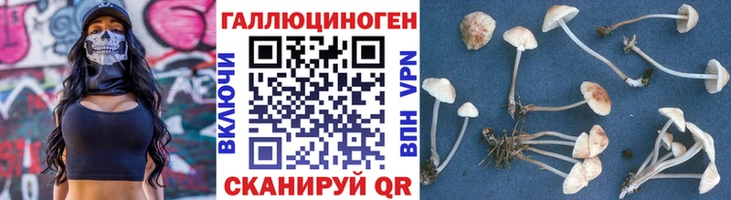 мориарти официальный сайт  Славск  Галлюциногенные грибы Psilocybine cubensis 